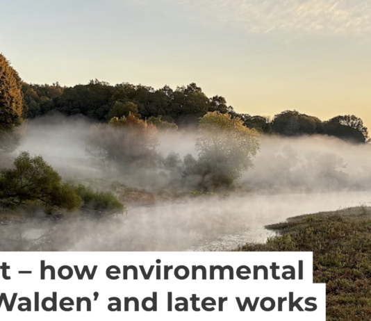 Henry David Thoreau investigated the Sudbury River as America’s first river scientist. Robert M. Thorson